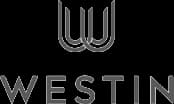 W S Westin Ltd logo